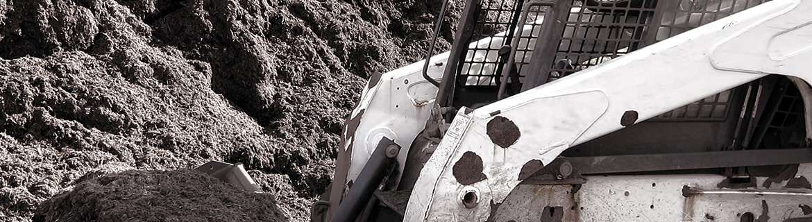 Skid Steer Safety