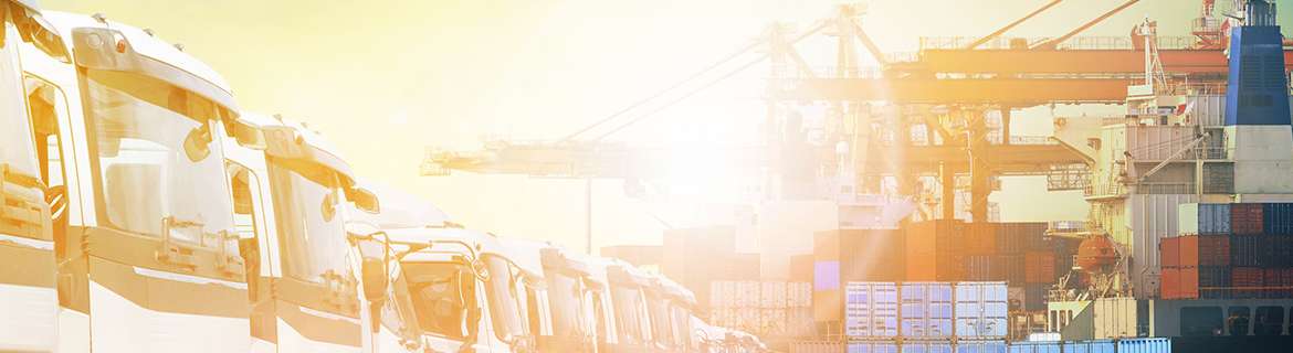 ICC Shipping Dry Ice by Ground & Air (US)