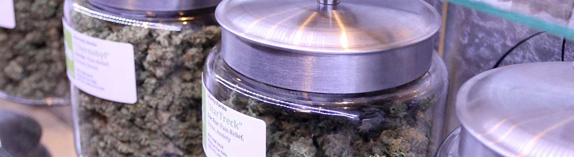 Cannabis Awareness for Employees