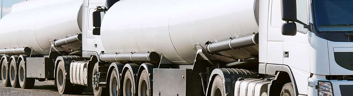 Transportation of Dangerous Goods , (TDG Online)