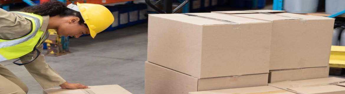 Safe Lifting in Construction Environments