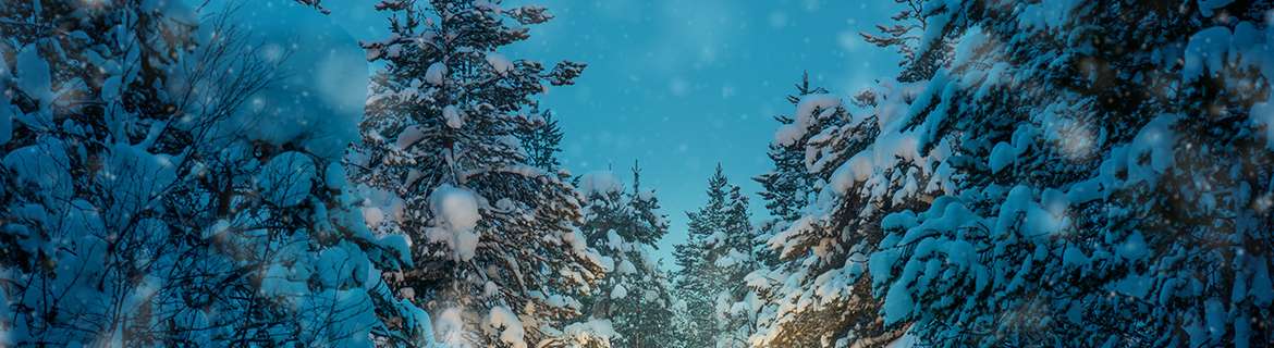 Winter Safety: Working & Driving in Snow, Ice, & Extreme Cold