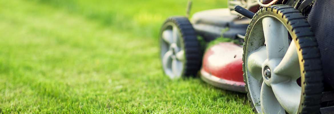 Lawnmower Safety Training (OSHA)