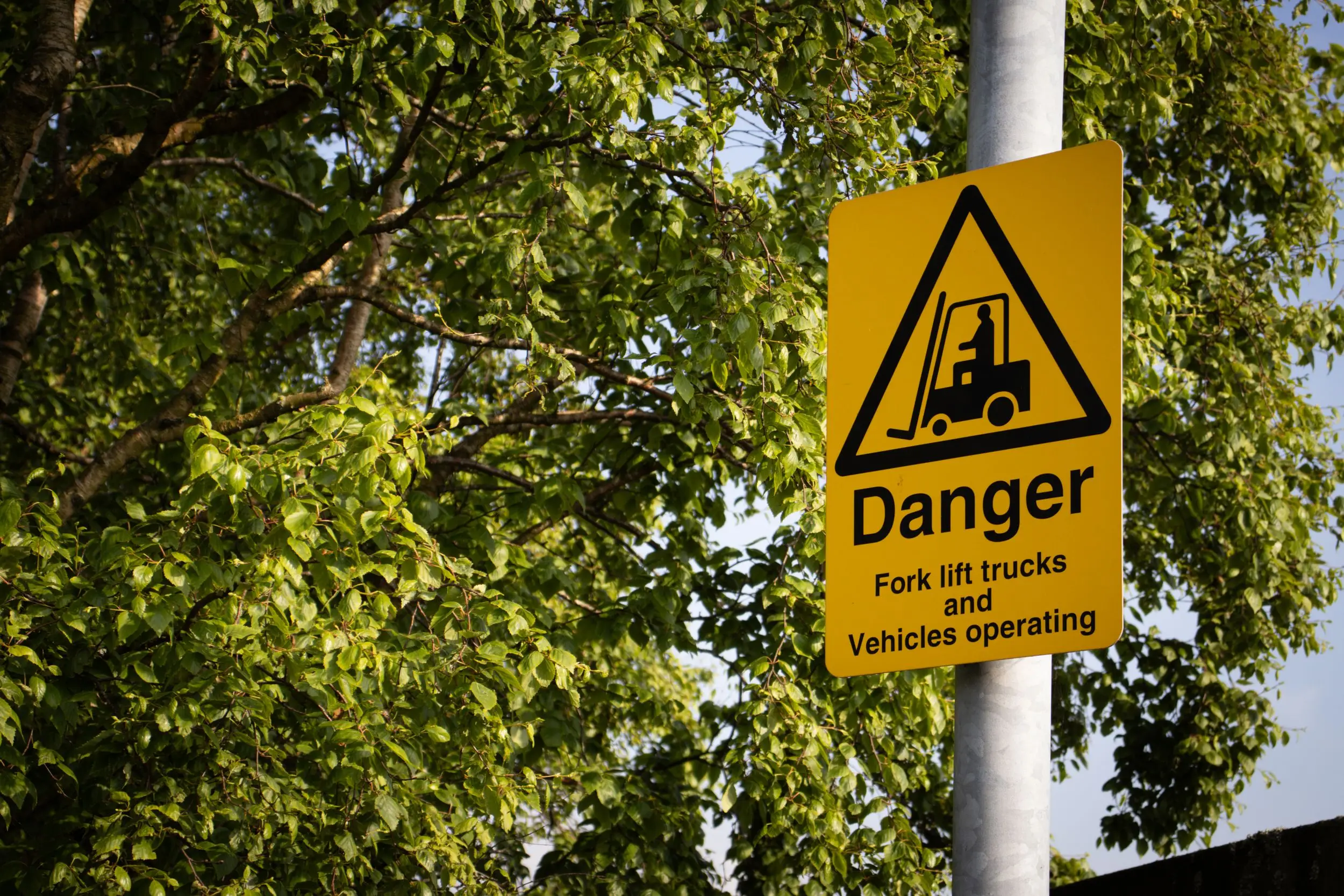 Make Pedestrian Awareness a Daily Habit 
